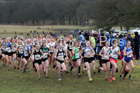 Senior women, 2018 Northern Cross Country Champs., Harewood House, Leeds. Photo: David T. Hewitson/Sports for All Pics